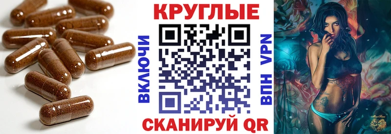 блэк спрут как войти  Петрозаводск  Ecstasy Дубай 