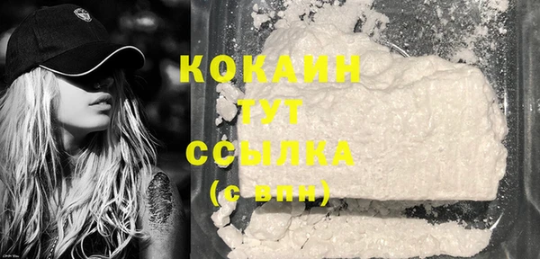 шишки Володарск