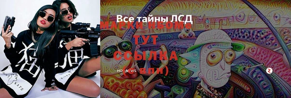 шишки Володарск