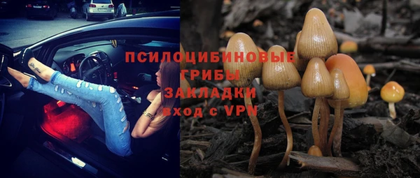 гашик Волосово