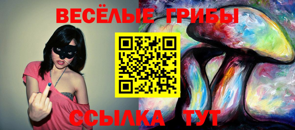 Галлюциногенные грибы мицелий Петрозаводск