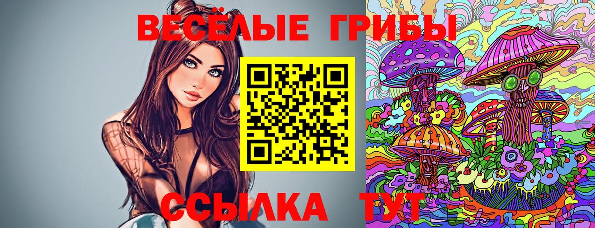 Псилоцибиновые грибы Cubensis  Вход с VPN  Псилоцибиновые грибы ЛСД  Петрозаводск 